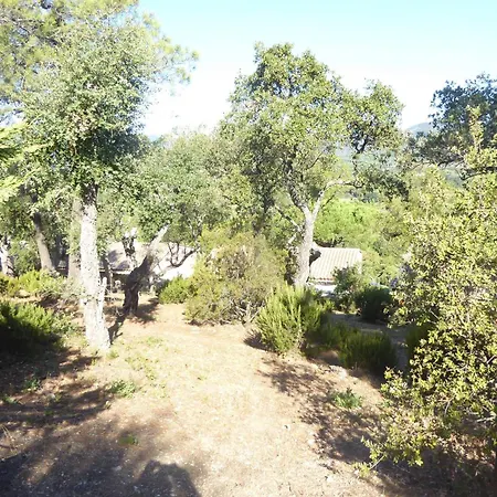 Mit Blick Auf Grimaud *